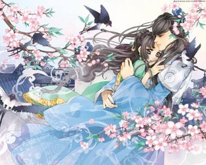 深入了解 老狼最新网址